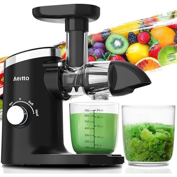 Aeitto Classic Horizontal Cold Press Juicer