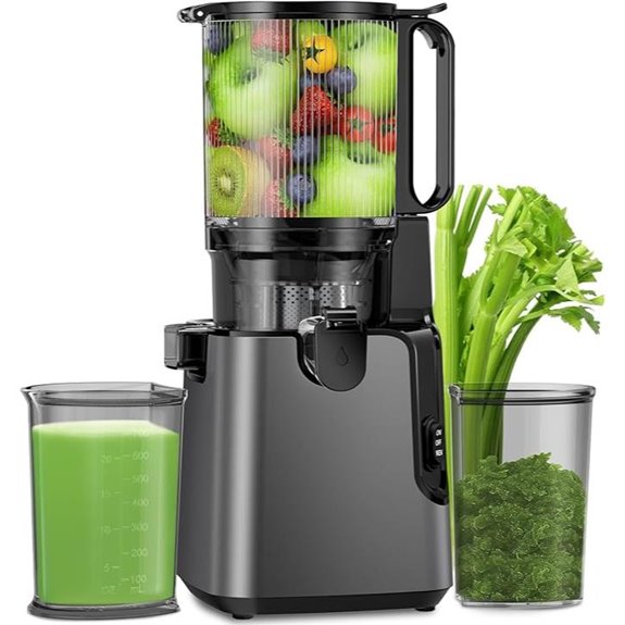 Cold Press Juicer with Large Feed Chute