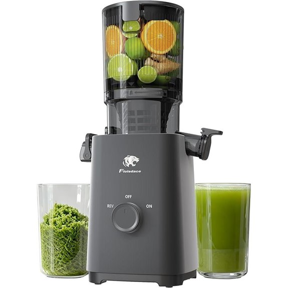 T33 Cold Press Juicer Machine with Large Feed Chute