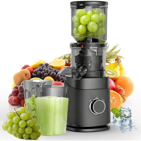 Cold Press Juicer Machine for Whole Fruits and Vegetables