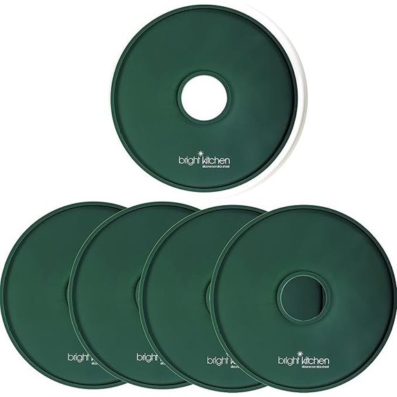 4 Fruit Leather Silicone Dehydrator Sheets - Non-Toxic