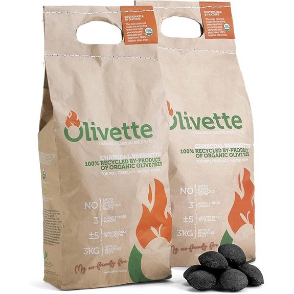 Organic Charcoal Briquettes by Olivette (2-Pack)