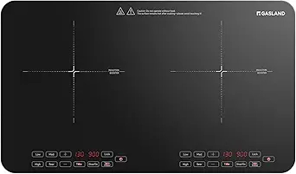 portable dual induction stove