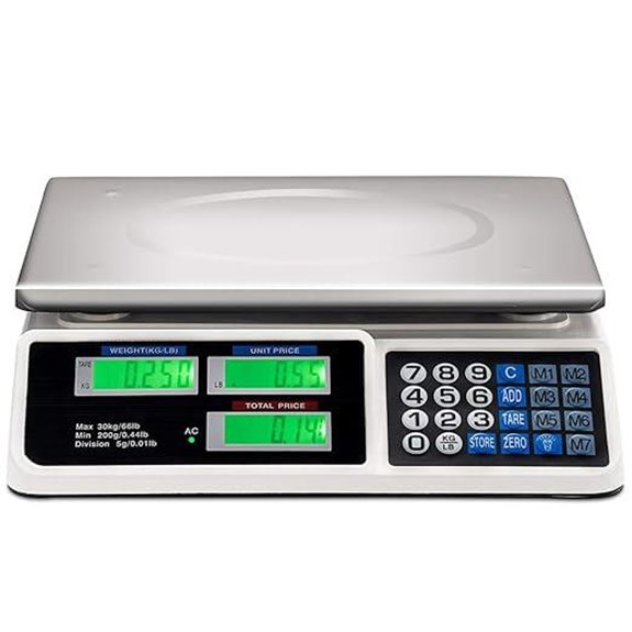 Safstar Electronic Price Computing Scale 66 lb Capacity