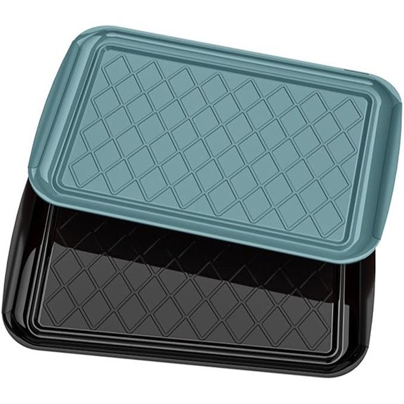 Serving Trays for Party Set of 2 Large Plastic Platters