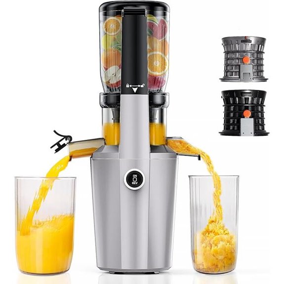 Cold Press Masticating Juicer Machine (Silvery)