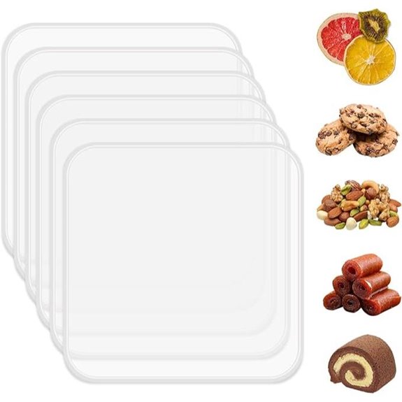 6 Pack Silicone Dehydrator Trays for Liquids