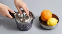 10 Best Best Citrus Juicers Electric Premium in 2026