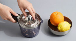 10 Best Best Citrus Juicers Electric Premium in 2026