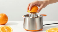 10 Best Best Citrus Juicers Electric Premium in 2026