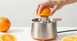 10 Best Best Citrus Juicers Electric Premium in 2026