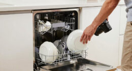 10 Best Countertop Dishwasher for Apartment Living in 2026