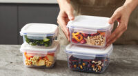 10 Best Premium Storage Containers for Meal Prep in 2026
