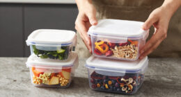 10 Best Premium Storage Containers for Meal Prep in 2026
