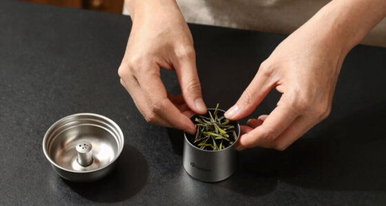 10 Best Premium Tea Maker for Loose Leaf Tea in 2026