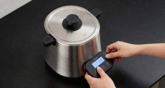 11 Best Premium Water Boilers in 2026