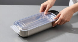 11 Best Vacuum Marinators in 2026
