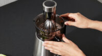 12 Best Premium Juicers in 2026