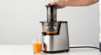 13 Best Cold Press Juicers Premium in 2026