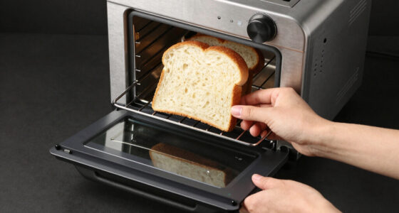 15 Best Premium Toaster Ovens in 2026