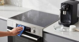 safe appliance cleaning methods