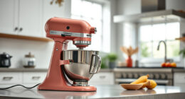 Is the KitchenAid Professional 600 Worth It? Honest Review