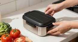 Compact Electric Lunch Boxes: A Back to school Guide