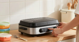 11 Best Electric Lunch Warmers for Students in 2026
