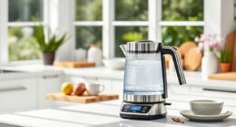 Summer Care & Troubleshooting for the Ninja KT200BL Electric Kettle